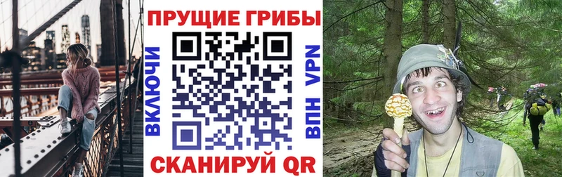Галлюциногенные грибы мухоморы  купить наркотики цена  Ясный 